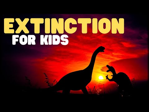 Why are some animals disappearing?