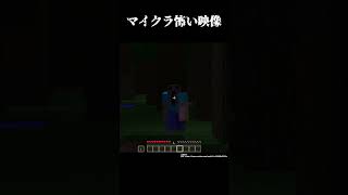 世界で発見されたマイクラの奇妙なモノ【ゆっくり解説】#shorts