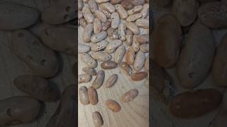 Simple tip for saving the seeds