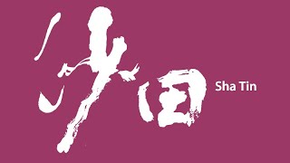 【黃色火災危險警告信號生效】沙田公共圖書館OTIS升降機（３號升降機）