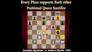 Every Pieces supports each other | Speelman vs Martin 1982