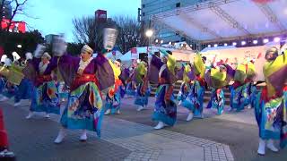 土佐のおきゃく　2018　旭食品　中央公園