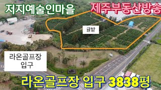 885 | 저지리 3838평 귤밭. 라온골프장. 저지예술인마을