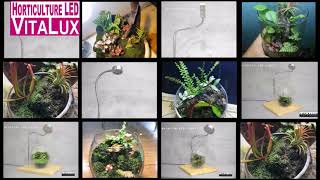 VITALUX LED植物燈 | 植物生長燈 | 植物照明燈 | 全光譜 x 紅藍混光 x 訂製光譜 DEMO2018 4 new