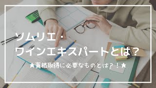 【ソムリエ・ワインエキスパートの勉強方法とは？】スクールと独学それぞれの視点から！