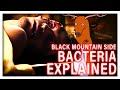 The BRAIN DAMAGE Inducing BACTERIAL INFECTION In Black Mountain Side Explained