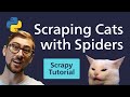 Python Scrapy Tutorial - Cats & Spiders? Web Scraping Reddit with Scrapy [2020]