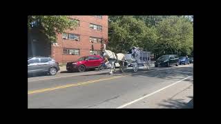 White Horse Drawn Hearse for Final Farewell with Heritage Memorial Chapel Brooklyn July 30 2021