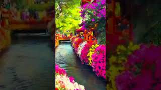 চল ঘুরে আসি   Traveling Lover WhatsApp status 4k SHORT nature video #nature #beautiful #shortbuzz hq