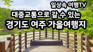 국내여행 대중교통으로 다녀올 수 있는 경기도 당일치기 가을여행지 경기도가볼만한곳 여주가볼만한곳 여주여행 황학산수목원 Autumn Trip Near Seoul