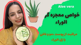 خواص شگفت انگیز الوورا برای پوست صورت، مو و بدن / داشتن پوست و موی شداب و سالم