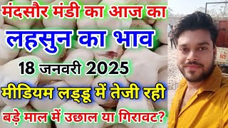 मंदसौर मंडी लहसुन भाव की तेजी मंदी रिपोर्ट  | Mandsaur Mandi Lahsun Bhav | Today Garlic Price Report