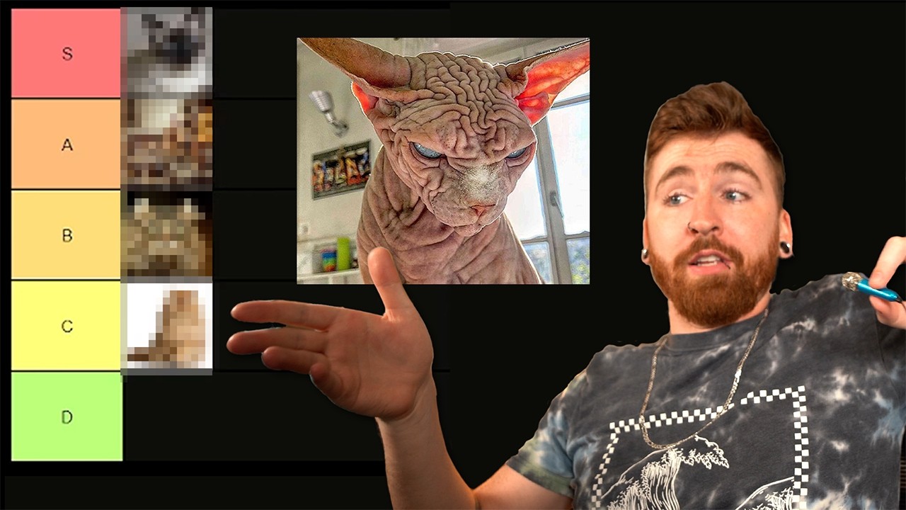 Cats Tier List Youtube