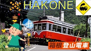 【踏切】杉の木踏切　箱根登山鉄道Railway crossing　HAKONE TOZAN RAILWAY(hakone japan)