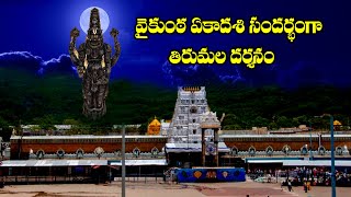 వైకుంఠఏకాదశి సందర్భంగా తిరుమల దర్శనం | Tirumala Darshan Vaikuntha Ekadashi | Hindu Tv | @himdutv