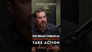 Episode #384: The Brain Chemical Tactics To Always Take Action (Andrew Huberman)