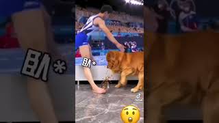 He stepped into the dog's plate.#funniest #tiktok #shorts .