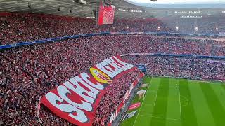 FC Bayern vs. Mainz 05                     Intro: 20 Jahre Schickeria