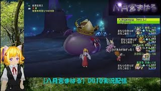 【八月宮まはる】DQ10実況配信#8