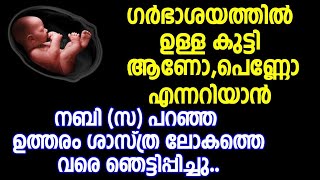 ഗർഭാശയത്തിൽ ഉള്ള കുട്ടി ആണോ,പെണ്ണോ എന്നറിയാൻ നബി സ പറഞ്ഞ ഉത്തരം ശാസ്ത്ര ലോകത്തെ വരെ ഞെട്ടിപ്പിച്ചു..