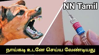 நாய் கடித்துவிட்டால் கண்டிப்பாக இதை செய்யக்கூடாது | Dog Bite Remedies in Tamil | NN Tamil