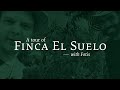 A Tour of Finca El Suelo