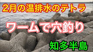 温排水 ワームでテトラの穴釣り 知多半島