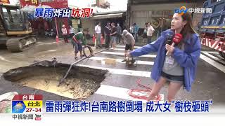 雷雨彈狂炸!台南路樹倒塌 成大女\