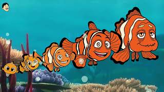 Finding Nemo Growing Up Evolution Easylittledrawings