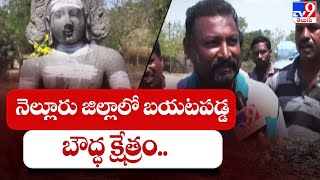 నెల్లూరు జిల్లాలో బయటపడ్డ బౌద్ధ క్షేత్రం.. || Nellore District || Gottiprolu  - TV9