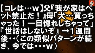 【コレは…ｗ】父『我が家はペット禁止だ！』母「犬…買っちゃった！一目惚れしちゃって」『世話はしないぞ』 →１週間後・・（この類似パターンが続き、今では・・・ｗ） 【Onihi 2ch】