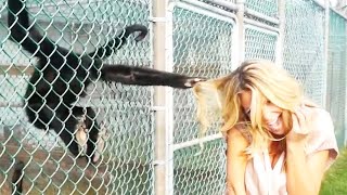 Monkey Business! Funny Animals and Dumb Human Fails