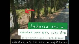 EP.9 ใกล้ทะเล 300 m. แบ่งขายขั้นต่ำ 200ตรว. หรือรับแปลงเต็ม 3ไร่กว่า ก็ได้ค่ะ