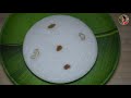 പഞ്ഞിപോലൊരു വട്ടയപ്പം kerala style soft vattayappam recipe in malayalam vattayappam