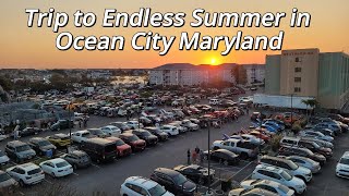 Taking a trip up to endless summer in Ocean City MD.