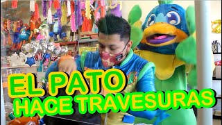 El Pato Cua #PatoPipon hace travesuras en la Dulceria | Amigo Mike Oficial