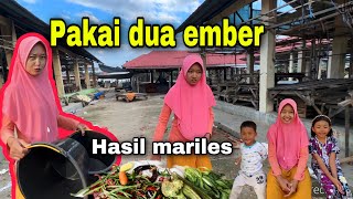 MAMA BELI EMBER LAGI⁉️ HASIL MARILES SETENGAH EMBER. TETAP BERSYUKUR