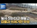 농사짓겠다더니…묘목은 말라가고, 잡풀만 무성 [MBN 종합뉴스]