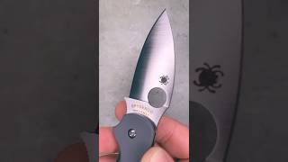 Spyderco Sage 1 in Maxamet for maximum edge retention #knife #edcknife #spyderco  #pocketknife #edc