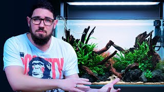 Maintenance On A New Planted Aquarium - The First 2 Months - Step by Step Tutorial