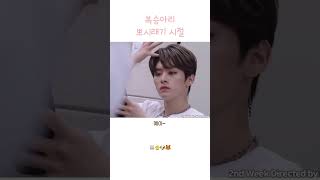 [스트레이키즈] 현재 이 넷이서 한집에 살고있음