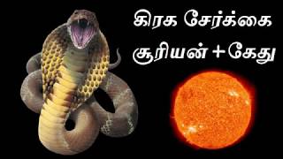 கிரக சேர்க்கை சூரியன் கேது | Sun and Kethu conjunction in Astrology | Astro Mani