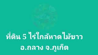 ep.6 ที่ดินภูเก็ต 5 ไร่ 1 งาน 53.9 ตรว.อ.ถลาง ราคาไร่ละ 13 ล้าน สำหรับสร้างโรงแรม หรือ Condominium