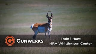 Hunt | Train | New Mexico Antelope Experience