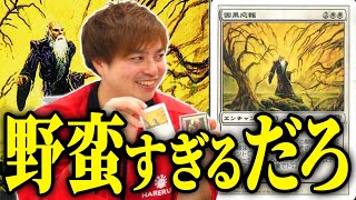 【MTG】白単で異常なダメージを叩き込め！！【EDHオタクカード82】