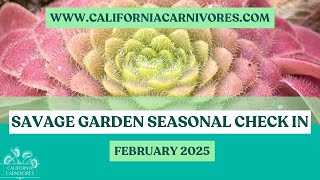 Savage Garden Seasonal Check In: February Rain Storms and Plant Work