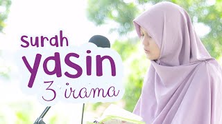 Download Lagu Sangat Merdu Surah Yasin Oleh Yosi Nofita Sari... MP3 Gratis