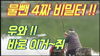 4짜부터 월척이 마릿수로 쏟아진다? & 현지인은 물빼서 붕어가 없다는데?