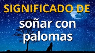 Qué significa soñar con palomas 💤 Interpretación de los Sueños