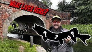 Lure Fishing For Pike and Perch On A MYSTERY Canal!!